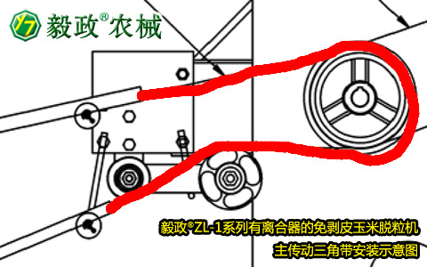 毅政牌ZL1系列有離合器的免剝皮玉米脫粒機(jī)，主傳動(dòng)三角帶正確安裝